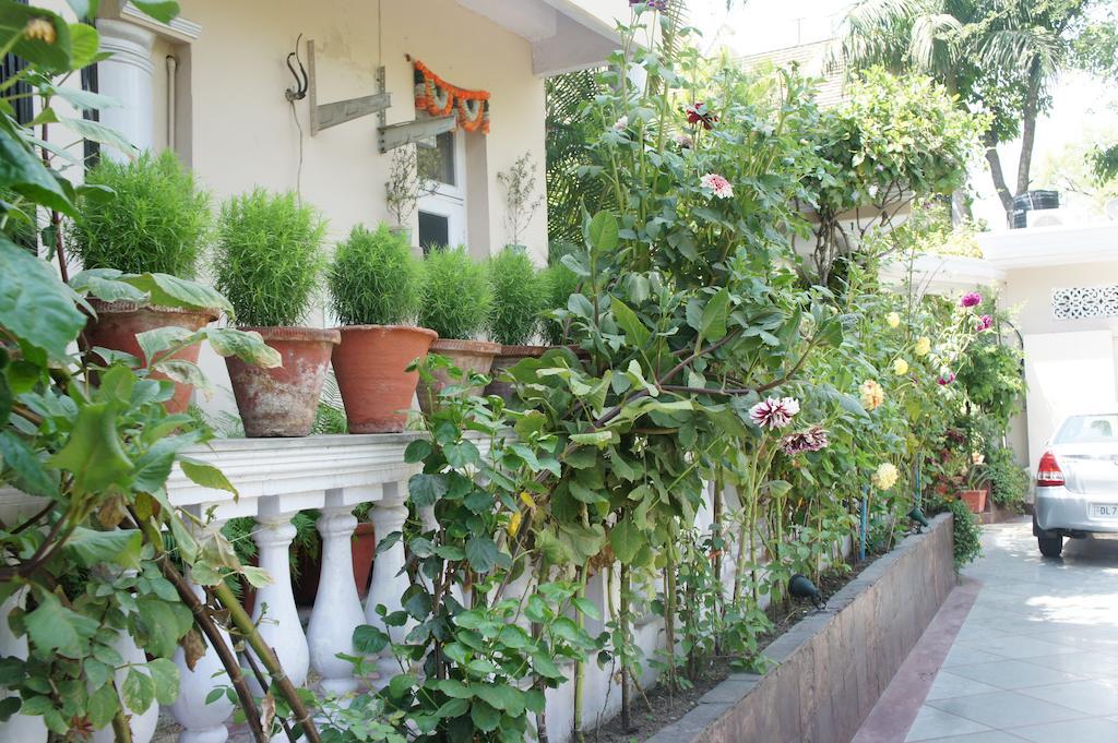 Sirohi House Нью-Делі Екстер'єр фото