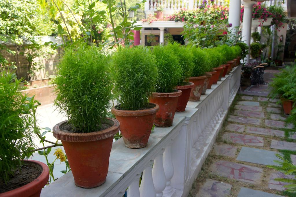 Sirohi House Нью-Делі Екстер'єр фото